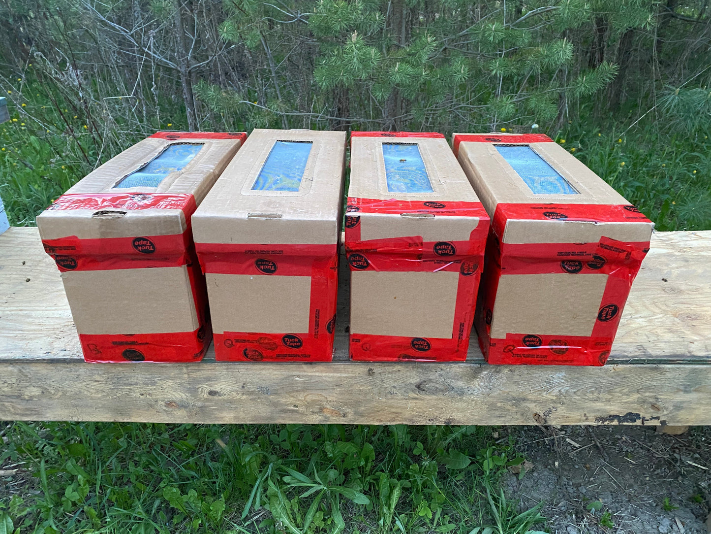 GUELPH PICK UP-JUNE 6TH-$260